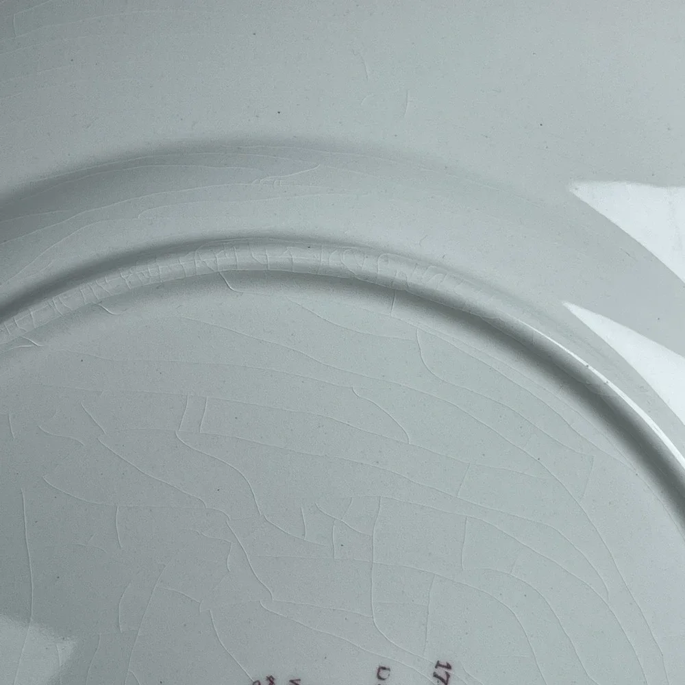 Vintage 1949 Wedgwood Washington & Lee University Doremus Gymnasium Plate 10.75